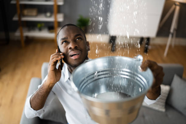 Best Basement water damage restoration  in Redwood Valley, CA