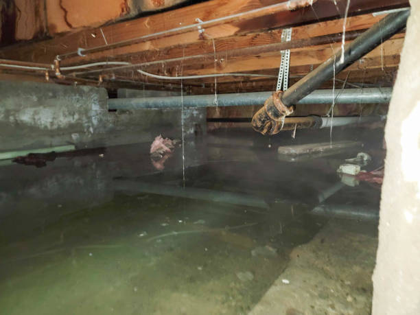  Redwood Valley, CA Water damage restoration Pros