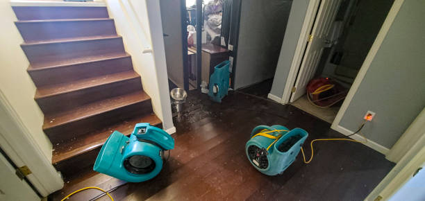 Best Water damage restoration near me  in Redwood Valley, CA