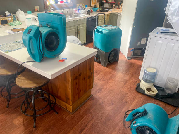 Best Water damage cleanup near me  in Redwood Valley, CA