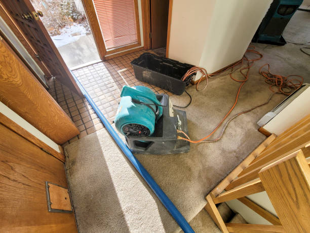 Best Water damage restoration near me  in Redwood Valley, CA