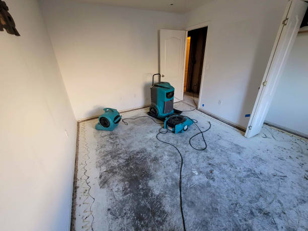 Best Residential water damage restoration  in Redwood Valley, CA
