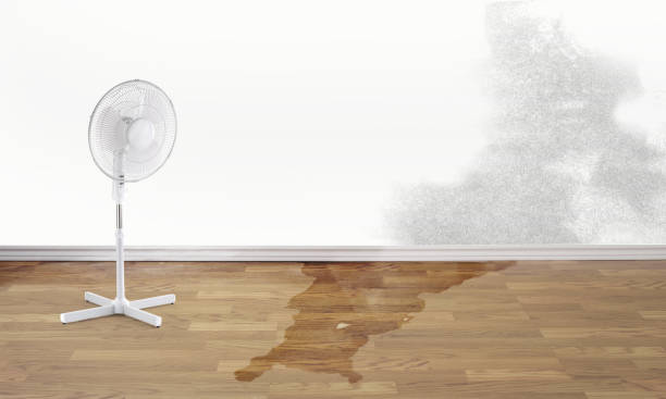 Best Flood damage cleanup  in Redwood Valley, CA