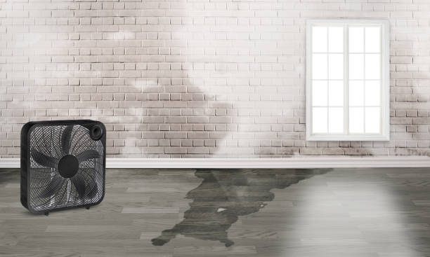 Best Ceiling water damage repair  in Redwood Valley, CA