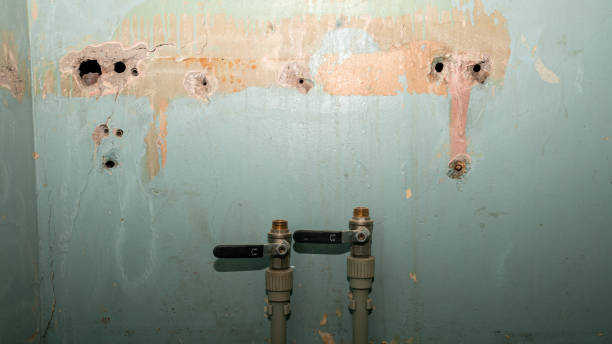 Best Commercial water damage restoration  in Redwood Valley, CA