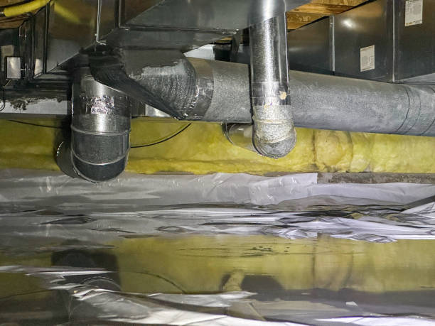 Best Professional water damage repair  in Redwood Valley, CA