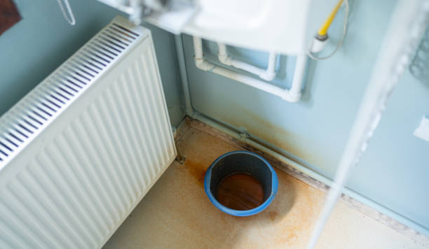 Best Flood damage cleanup  in Redwood Valley, CA