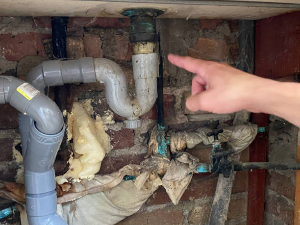 Best Fire Damage Restoration  in Redwood Valley, CA